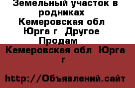 Земельный участок в родниках - Кемеровская обл., Юрга г. Другое » Продам   . Кемеровская обл.,Юрга г.